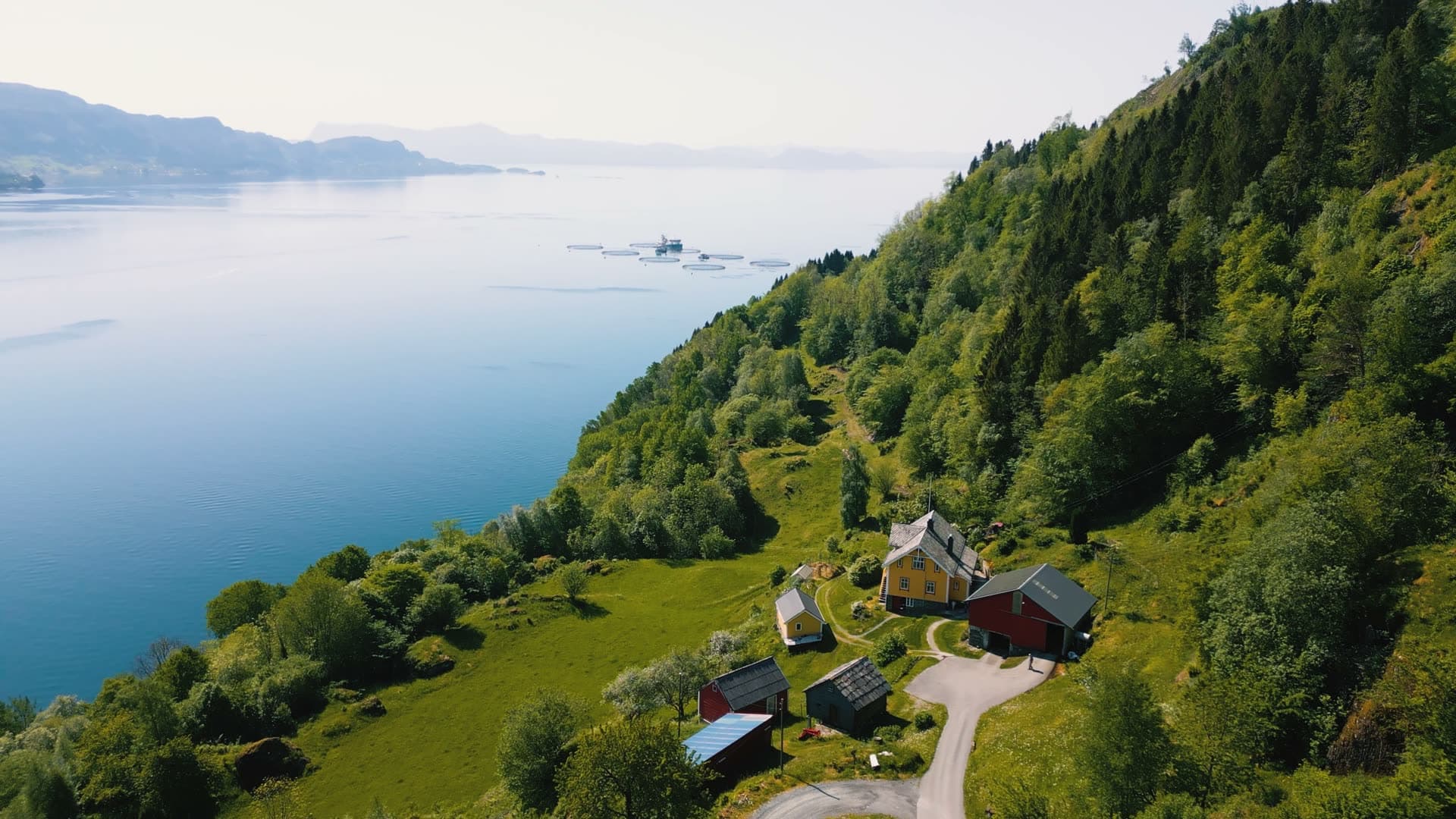 Fjords