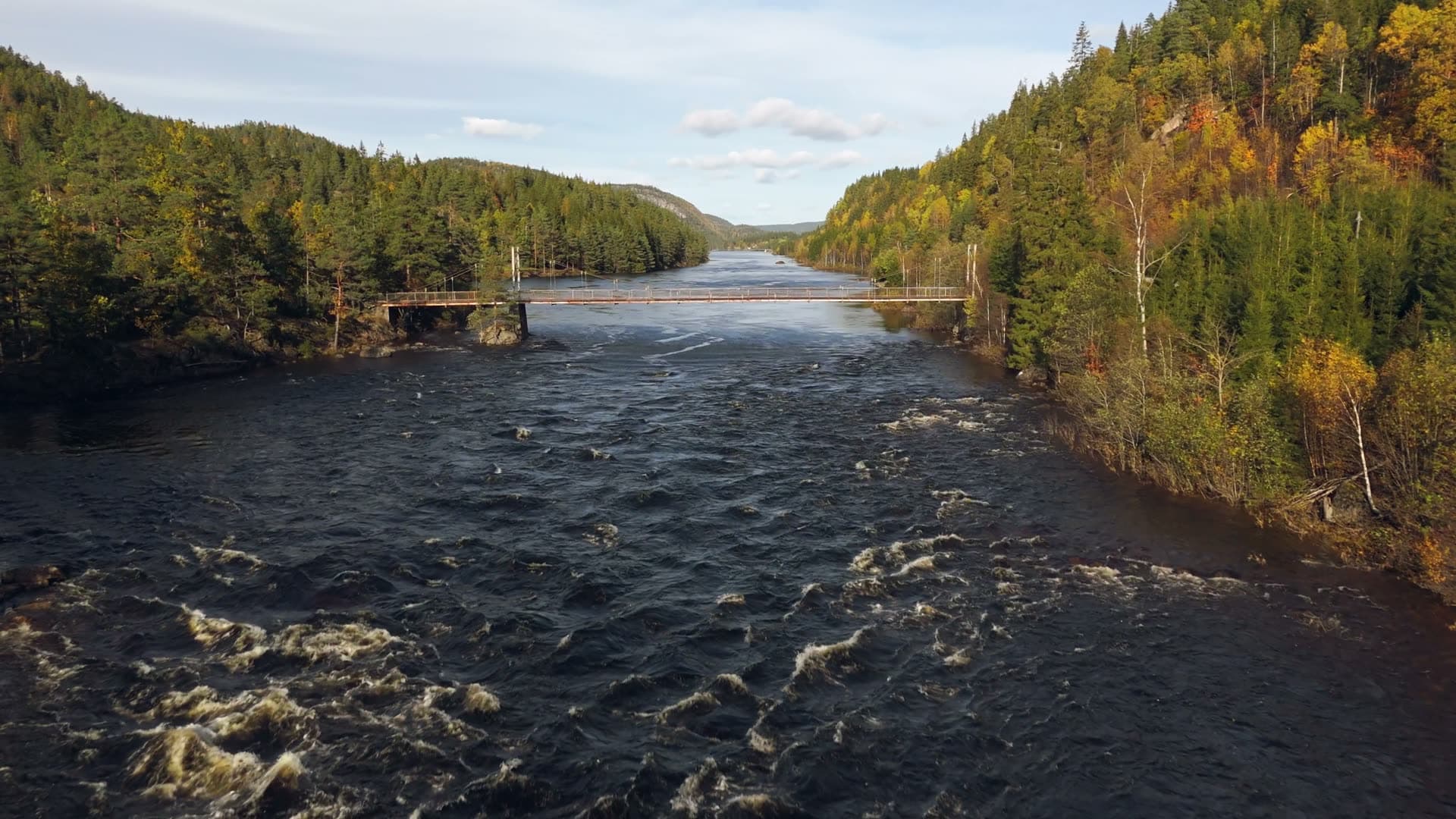 Flowing water and coniferous trees, Birkenes