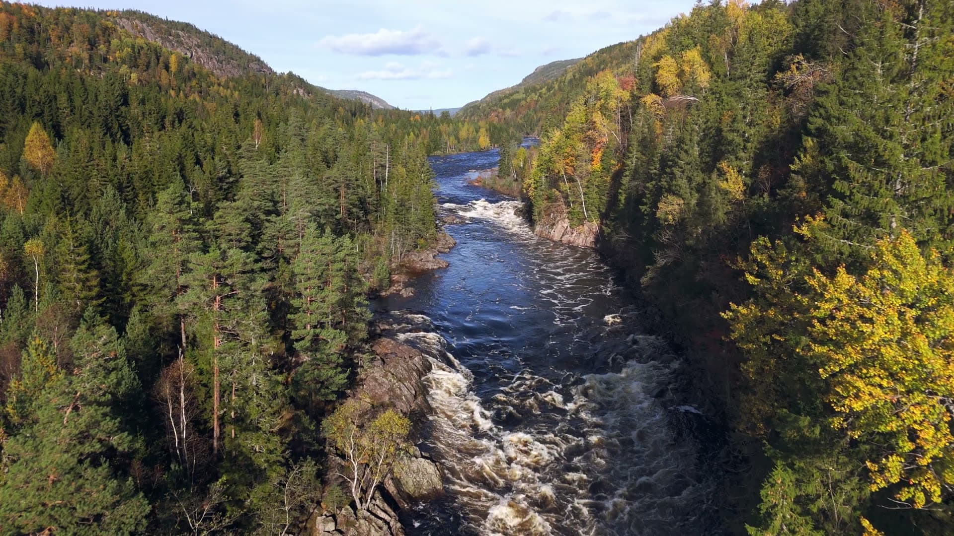 Bird's eye view and coniferous trees, Birkenes