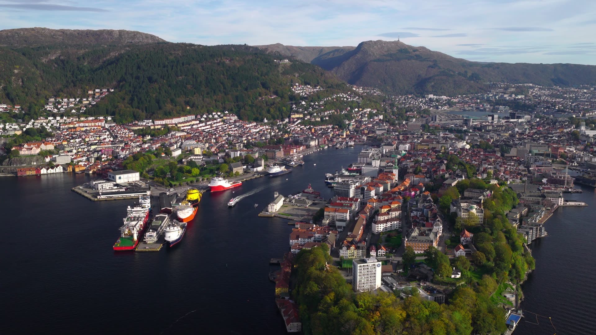 Commercial shipping fleet dominates fjord harbor, Bryggen, Bergen, Norway