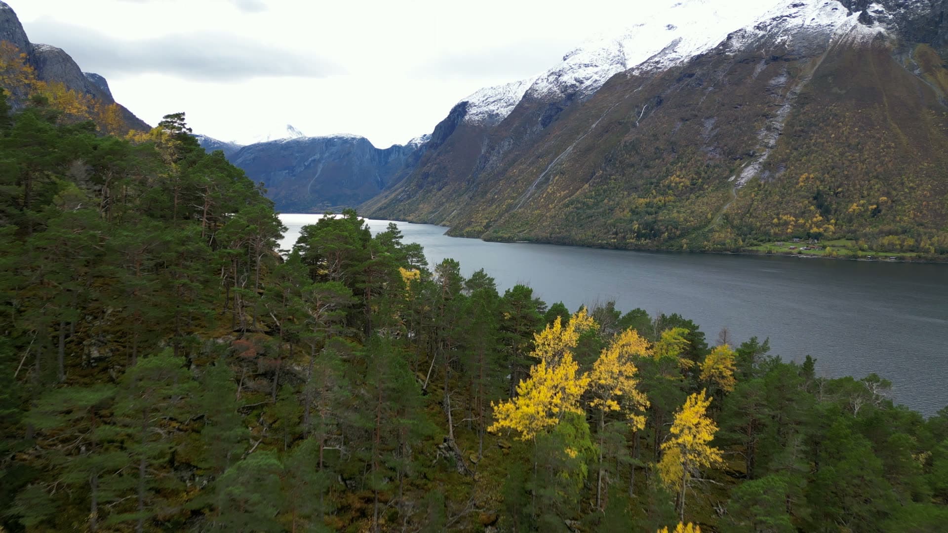 Autumn woodland and Eikesdalsvatnet seen from Vike