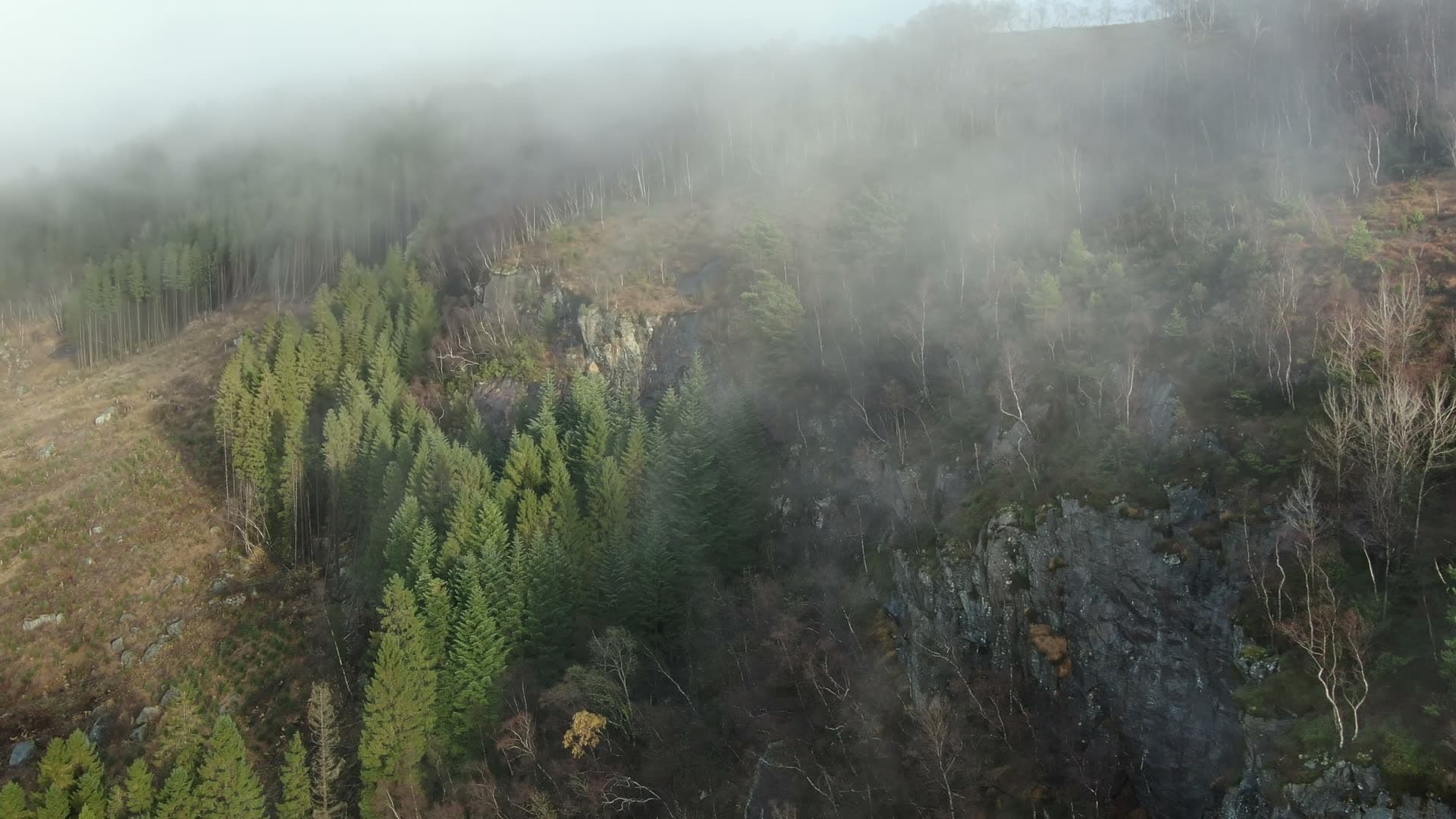 Forested mountain valley in fog, Ingvaldstad
