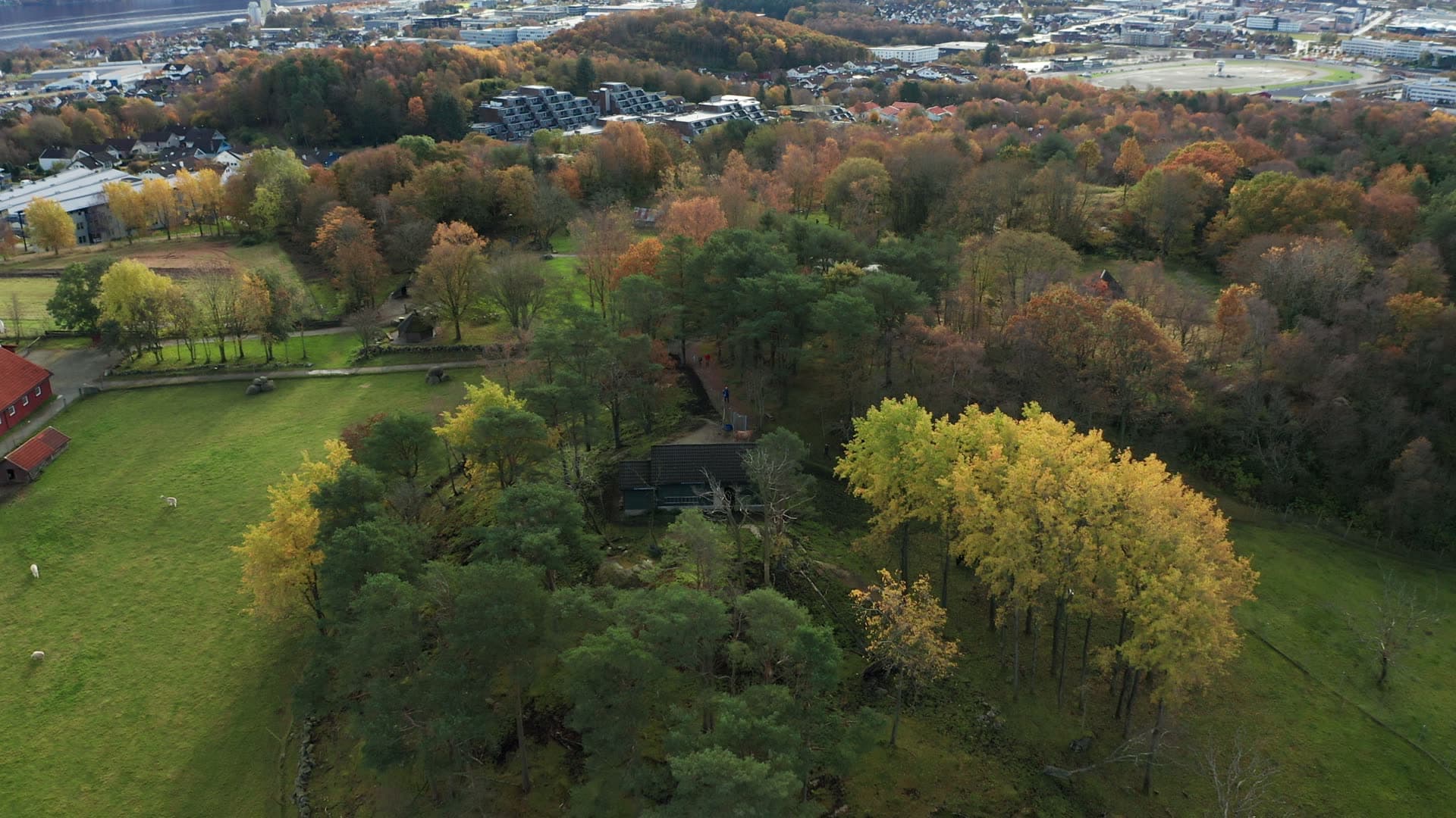Gausel fritidsgård, Autumn forest with isolated country house, Godeset