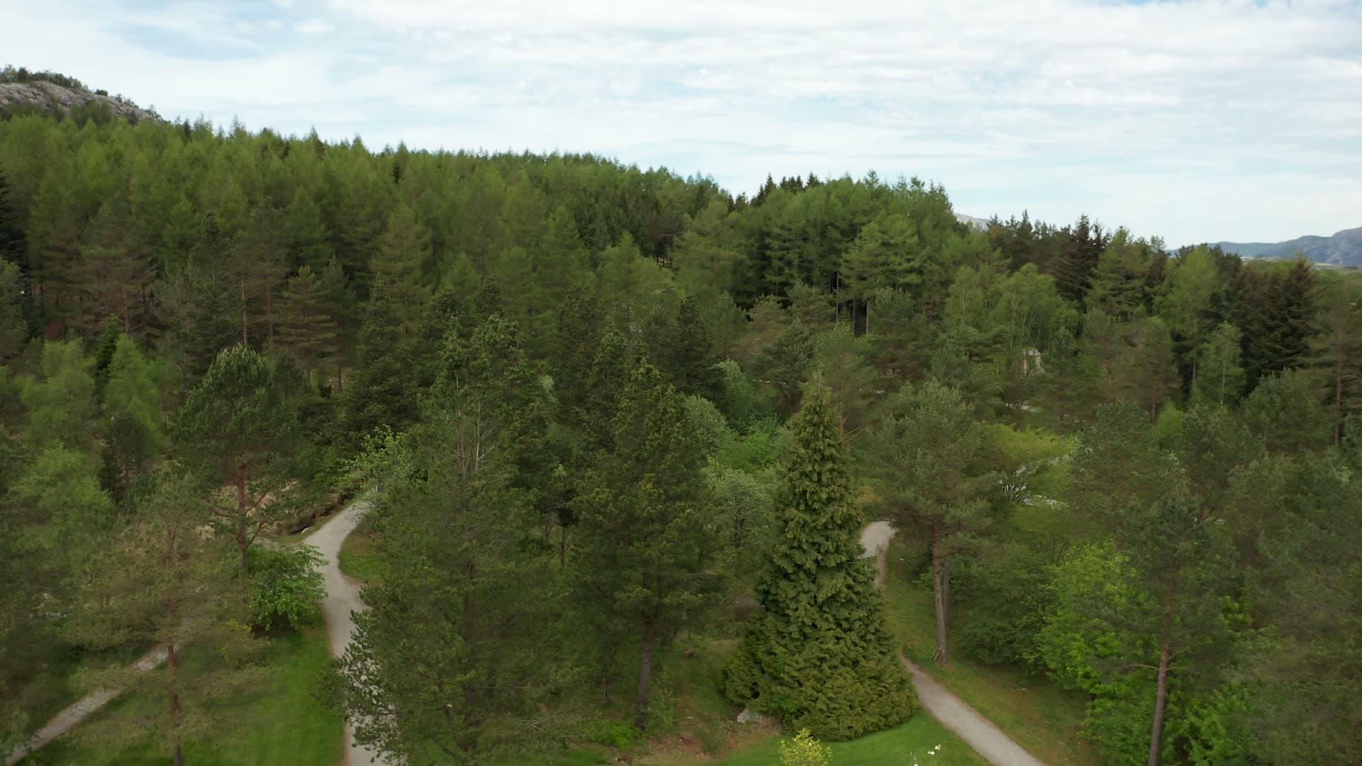 Forest roads through woodland and farmland, Rogaland Arboret