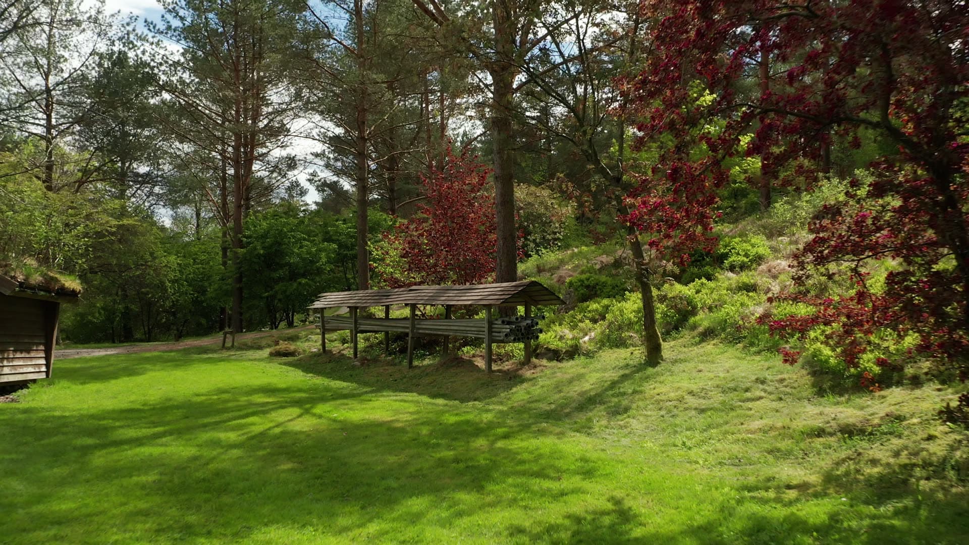 Forest picnic area with covered pavilion, Rogaland Arboret