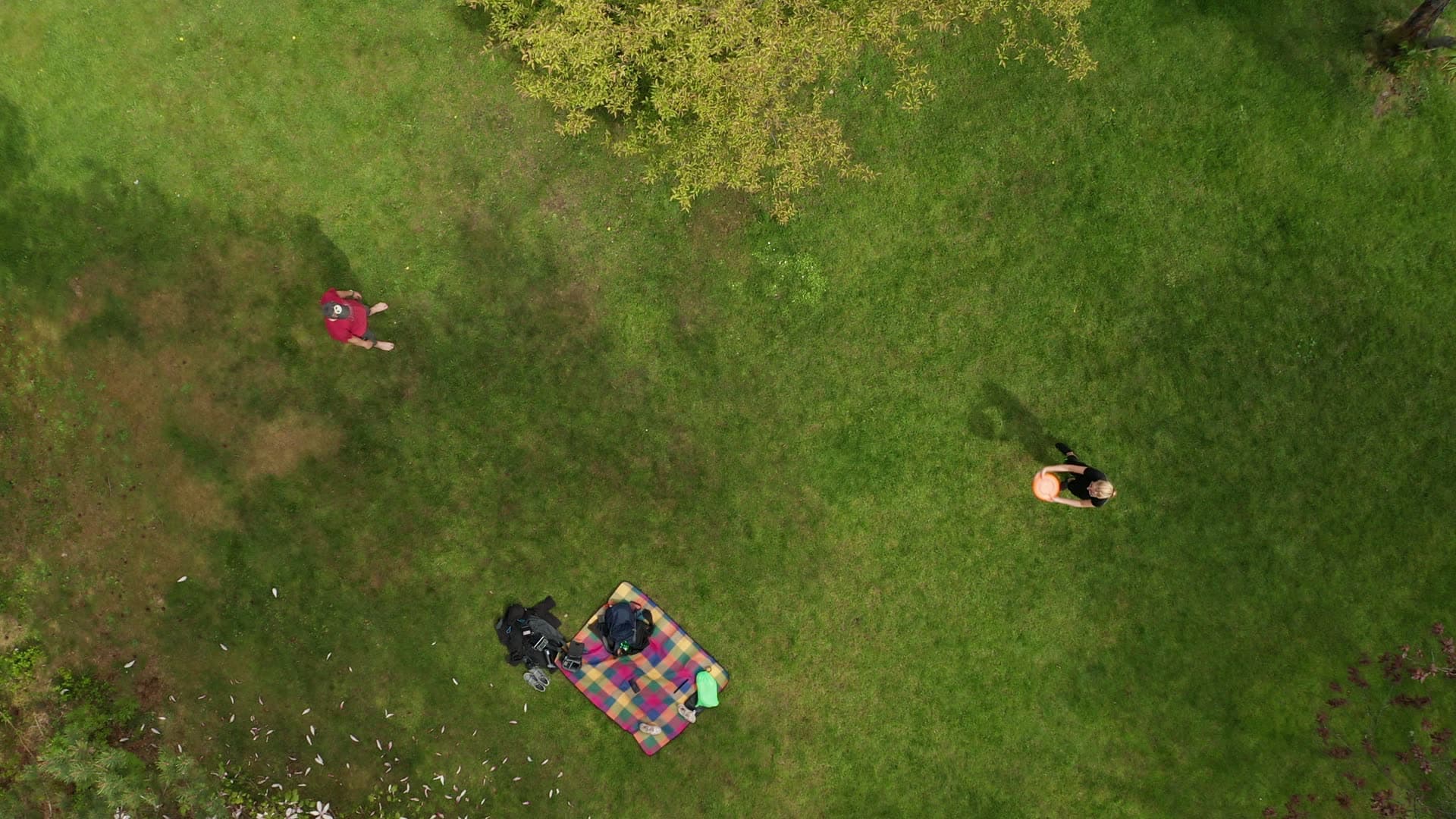 People picnicking and playing in park, Rogaland Arboret