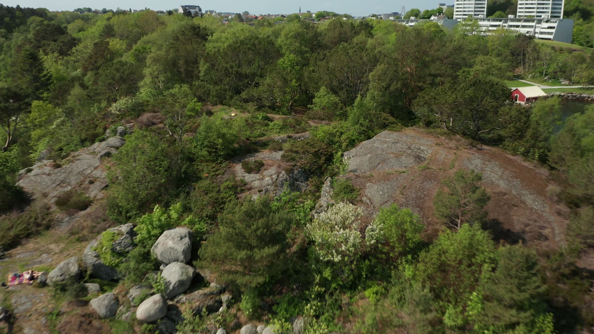 Forest trail to rocky coastal landscape, Stavanger