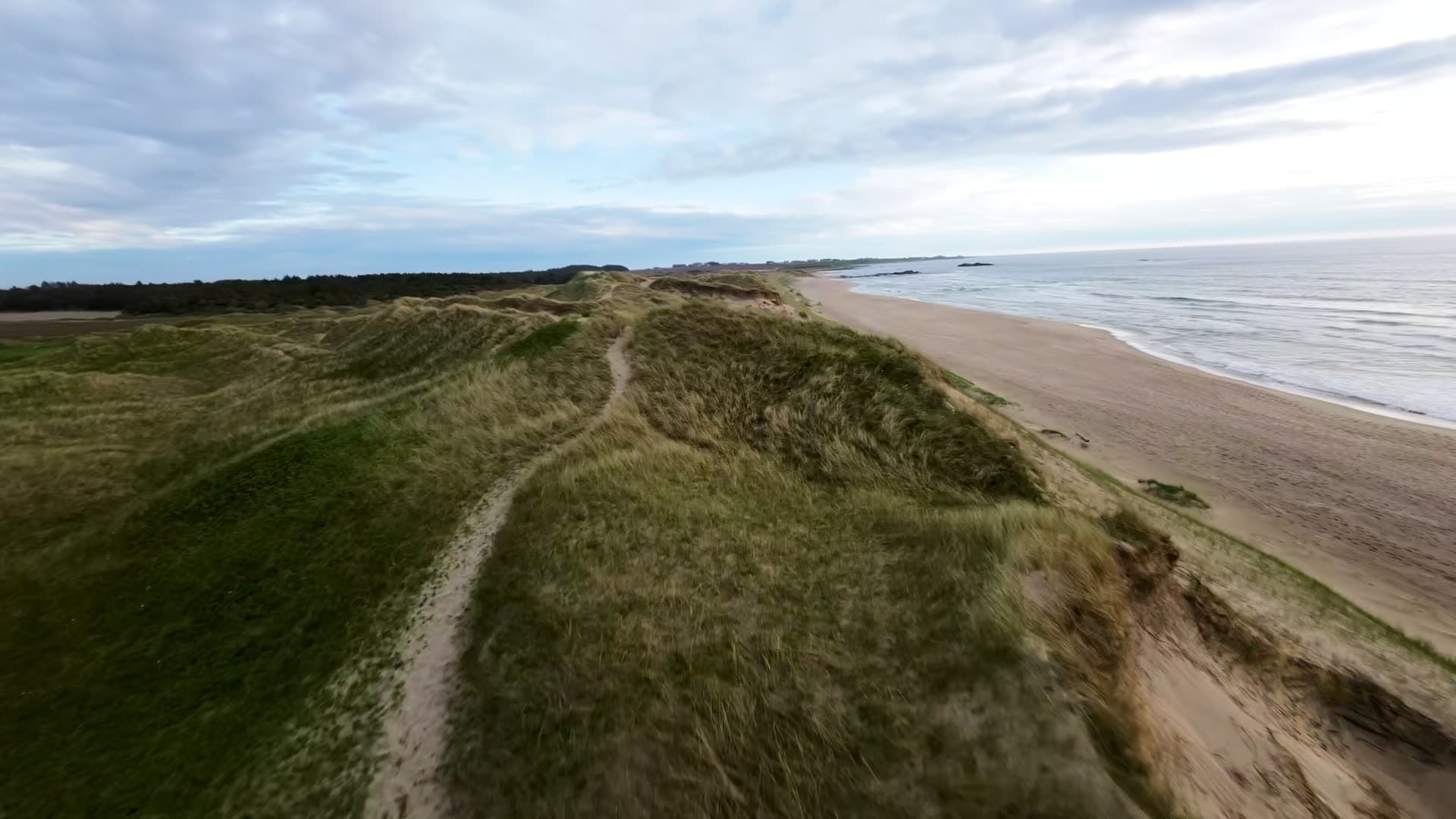 Coastal dune system with marram grass, Boresanden