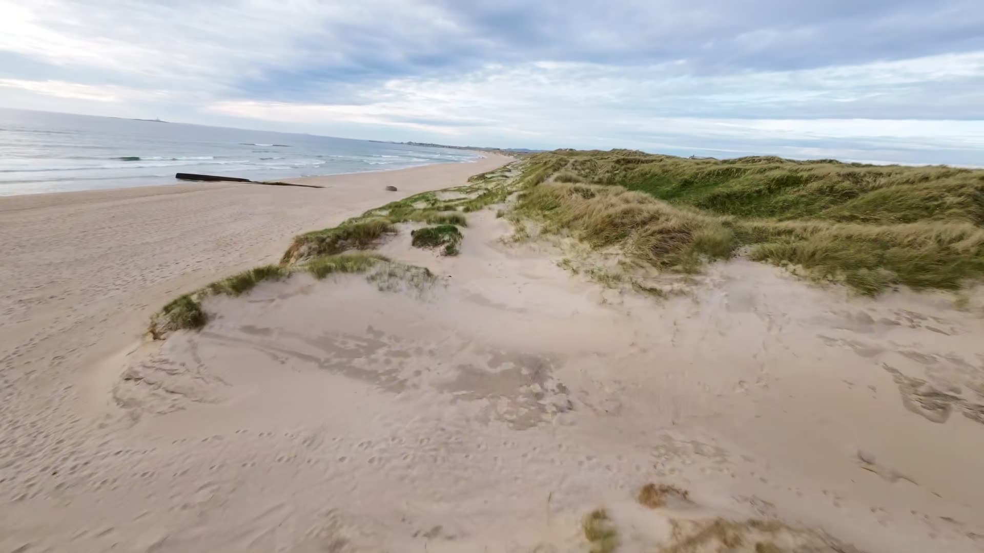 Coastal sand dunes with marram grass, Boresanden