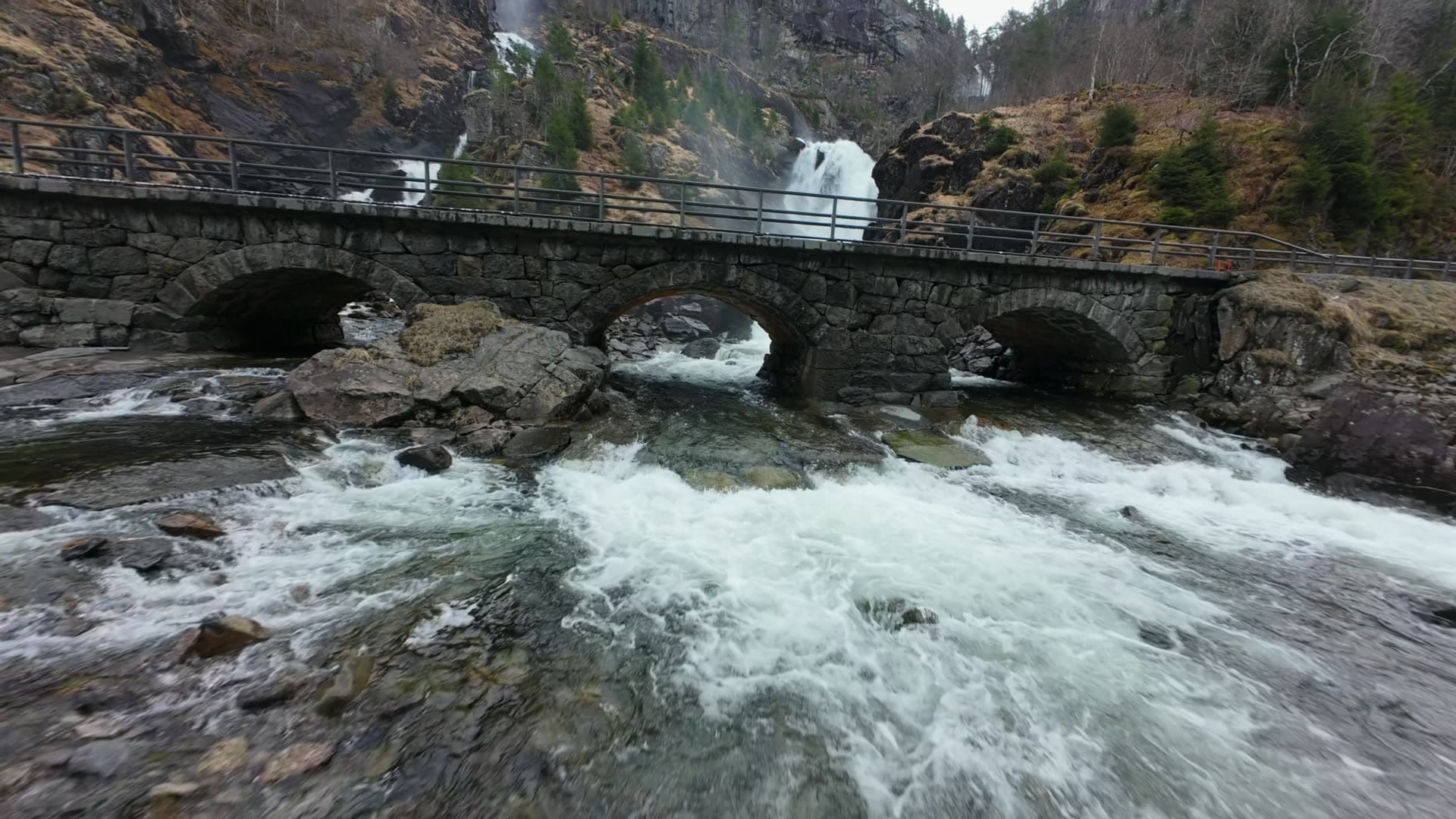 Whitewater river through mountain forest, Vøringsfossen