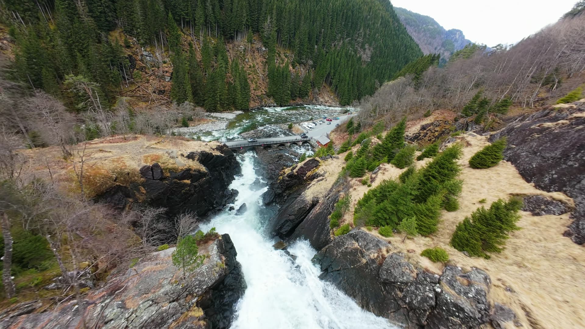 Mountain river flowing through forested gorge, Vøringsfossen