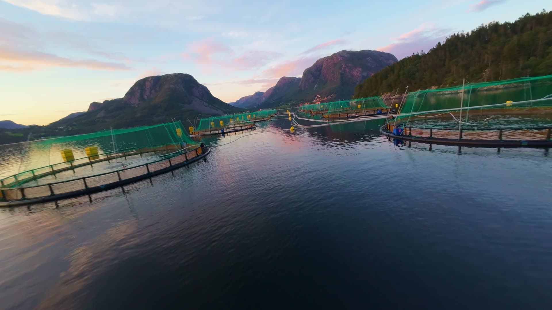 Fish farm pens on Norwegian fjord, Oltesvik
