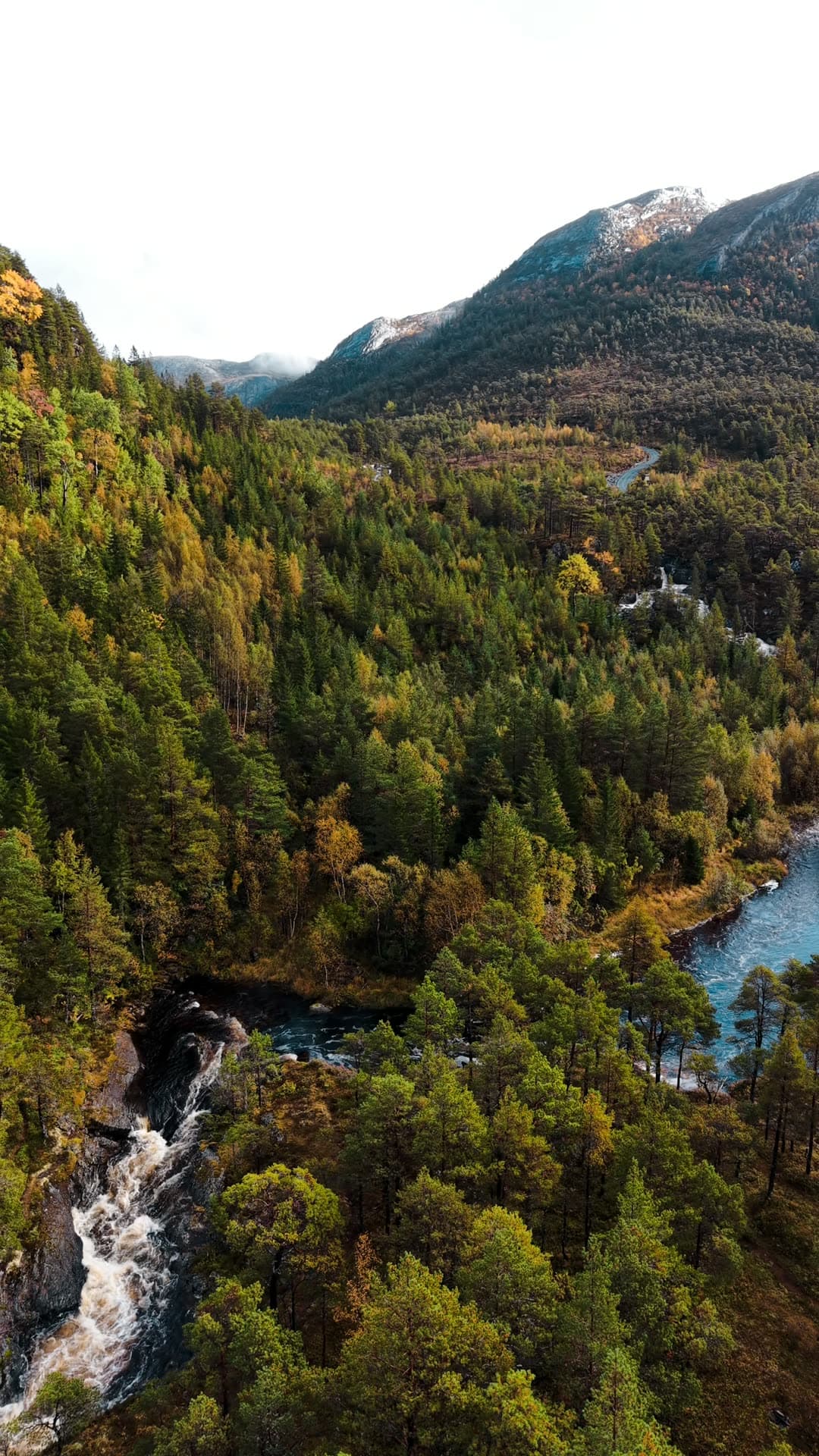 River valley with autumn larch forest and mountains, Blåvassveien - Ørland, Bjugn