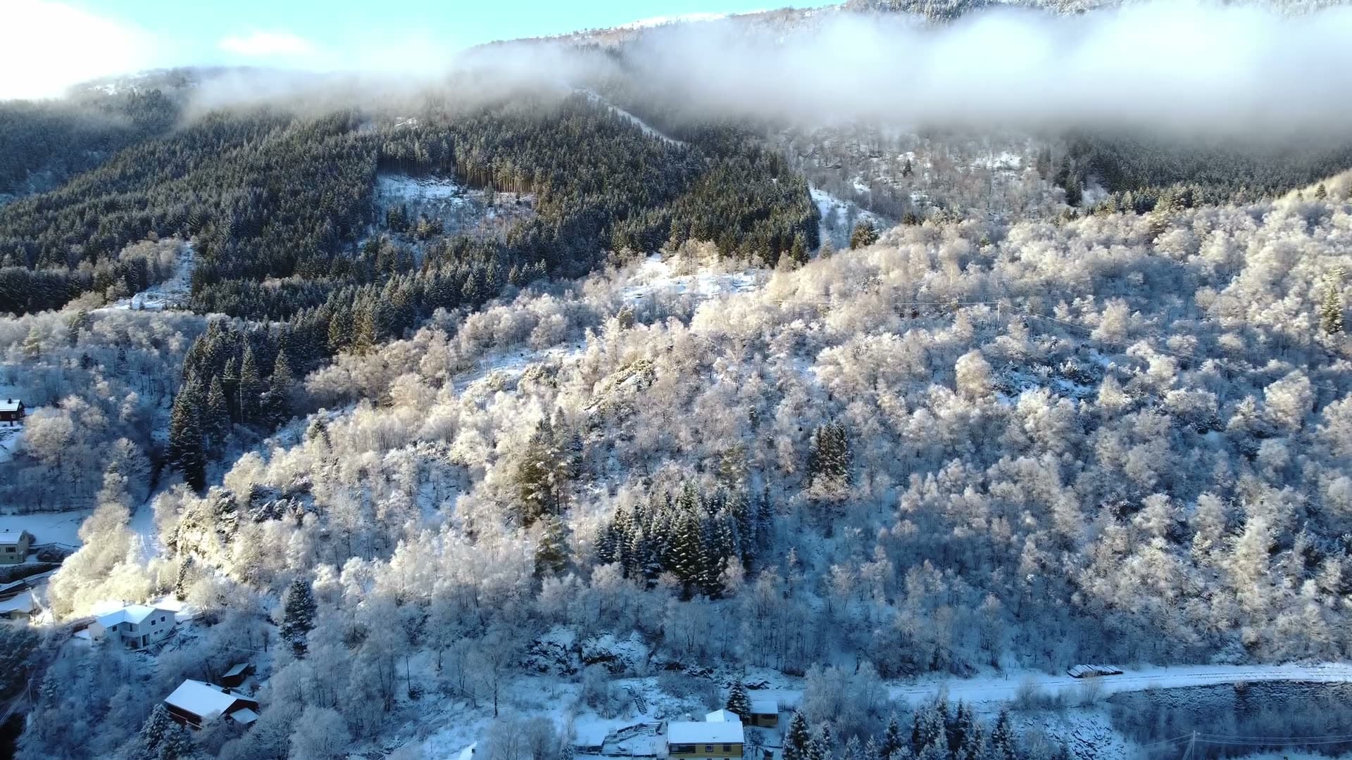 Frost-covered mountain forest valley, Nesttun