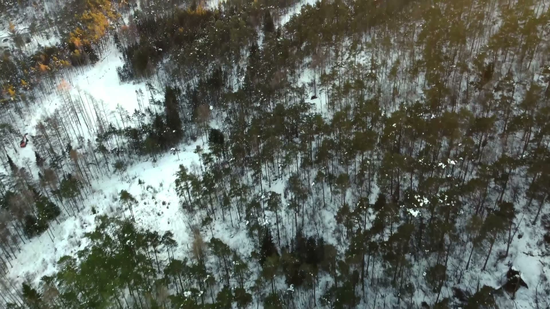Snowy boreal forest with mixed tree coverage, Fyllingsdalen