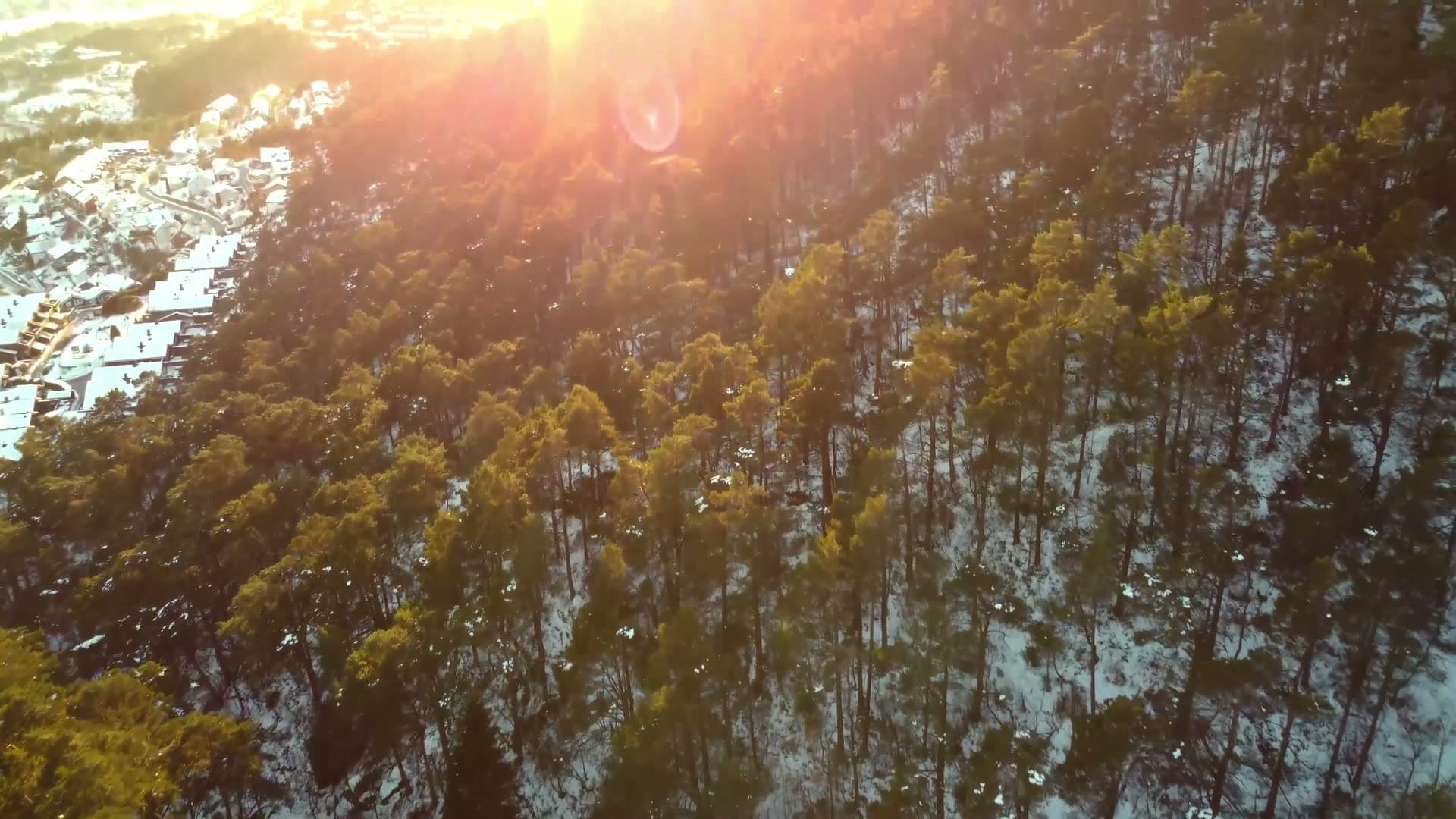 Forest hillside at sunrise with snow, Fyllingsdalen