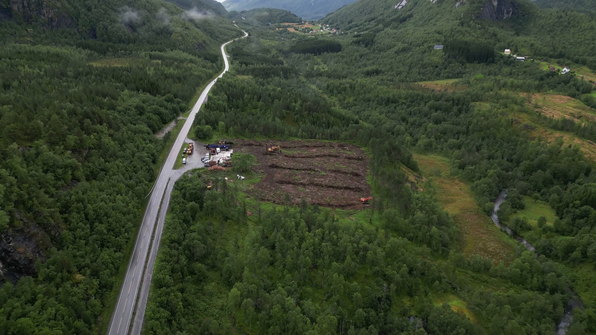 Logging operation in mountain forest, Kvarv i Sørfold