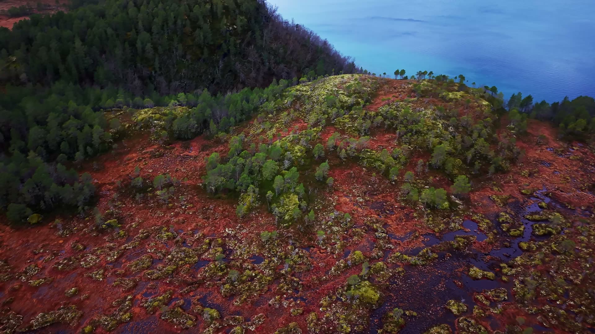 Volcanic fjord landscape with red lava soil, Kvarv i Sørfold