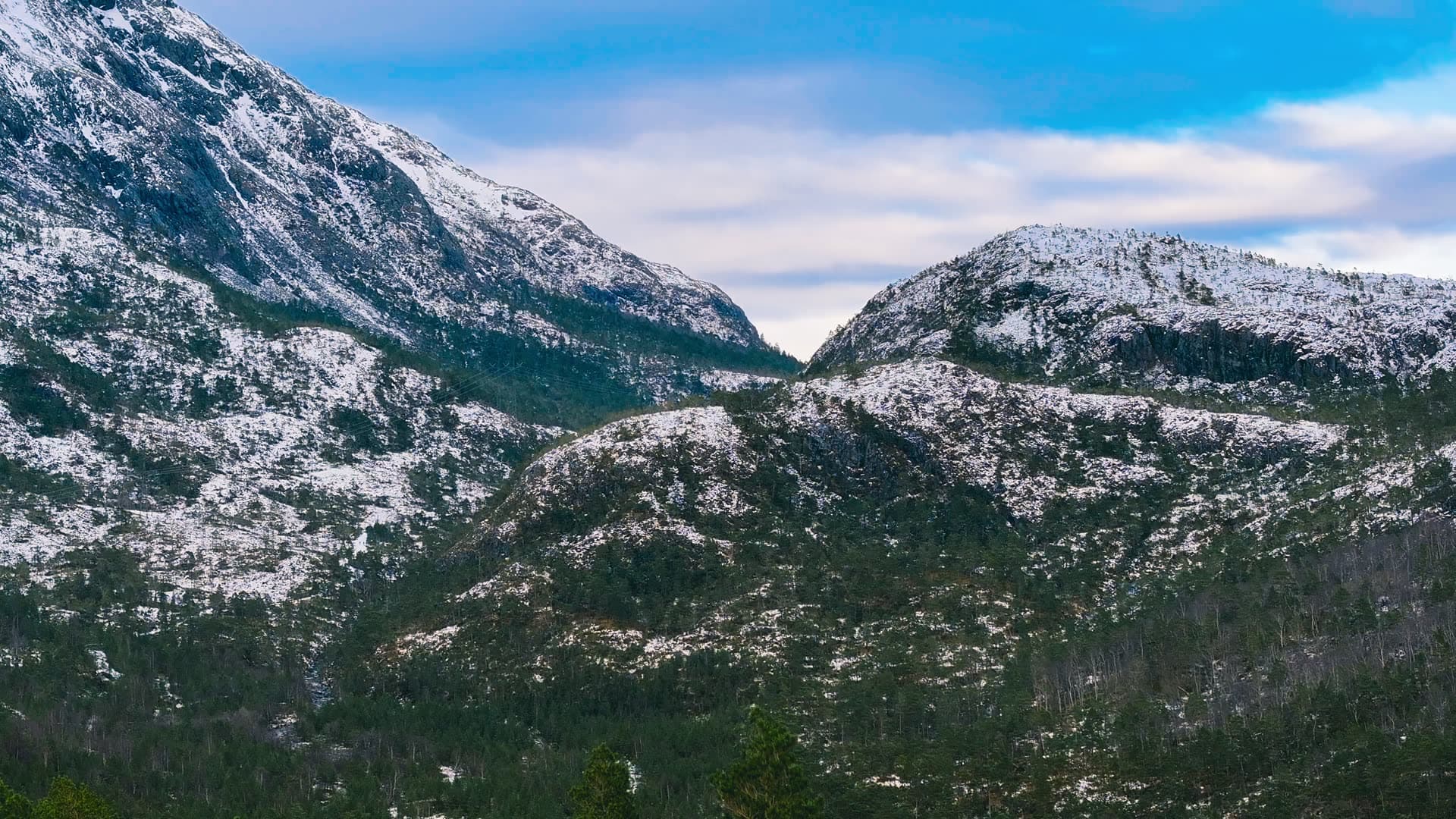 Snow-covered mountain valley with coniferous forest, Bergen