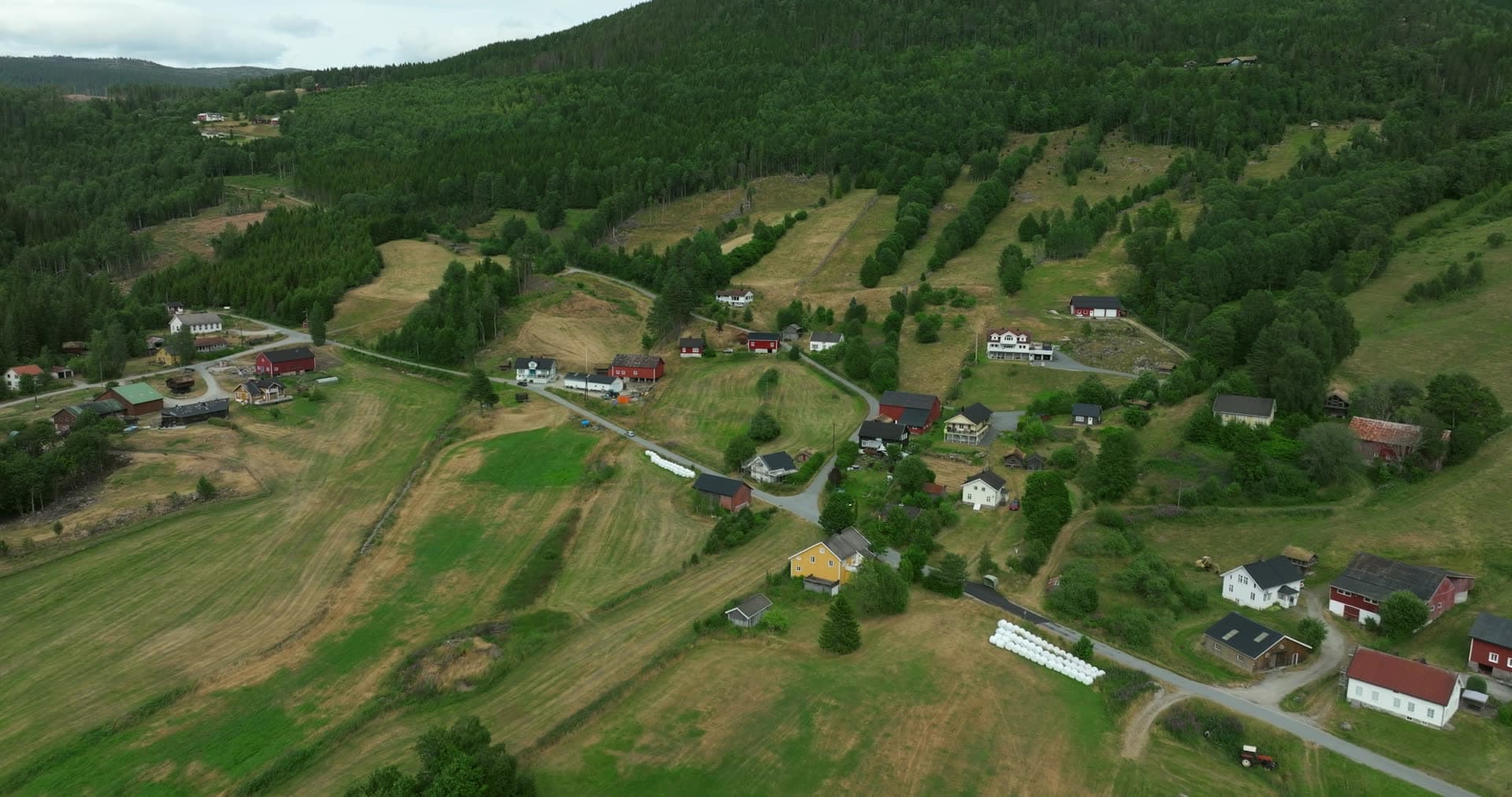 Mown hayfields and farmhouses below forested hills, Åraksbø, Norway