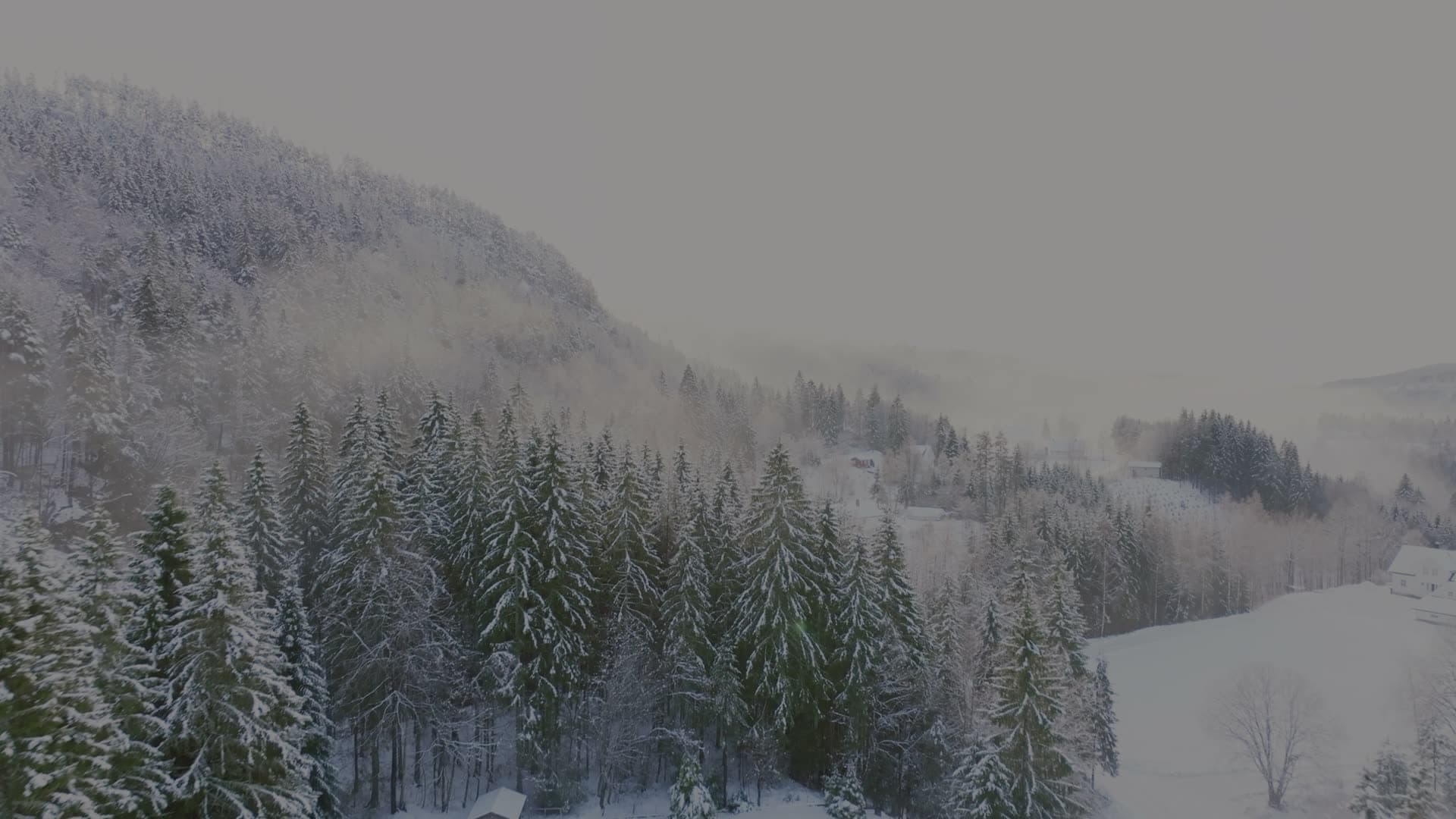 Snowfall over spruce hillside and red farm, Birkeland, Norway