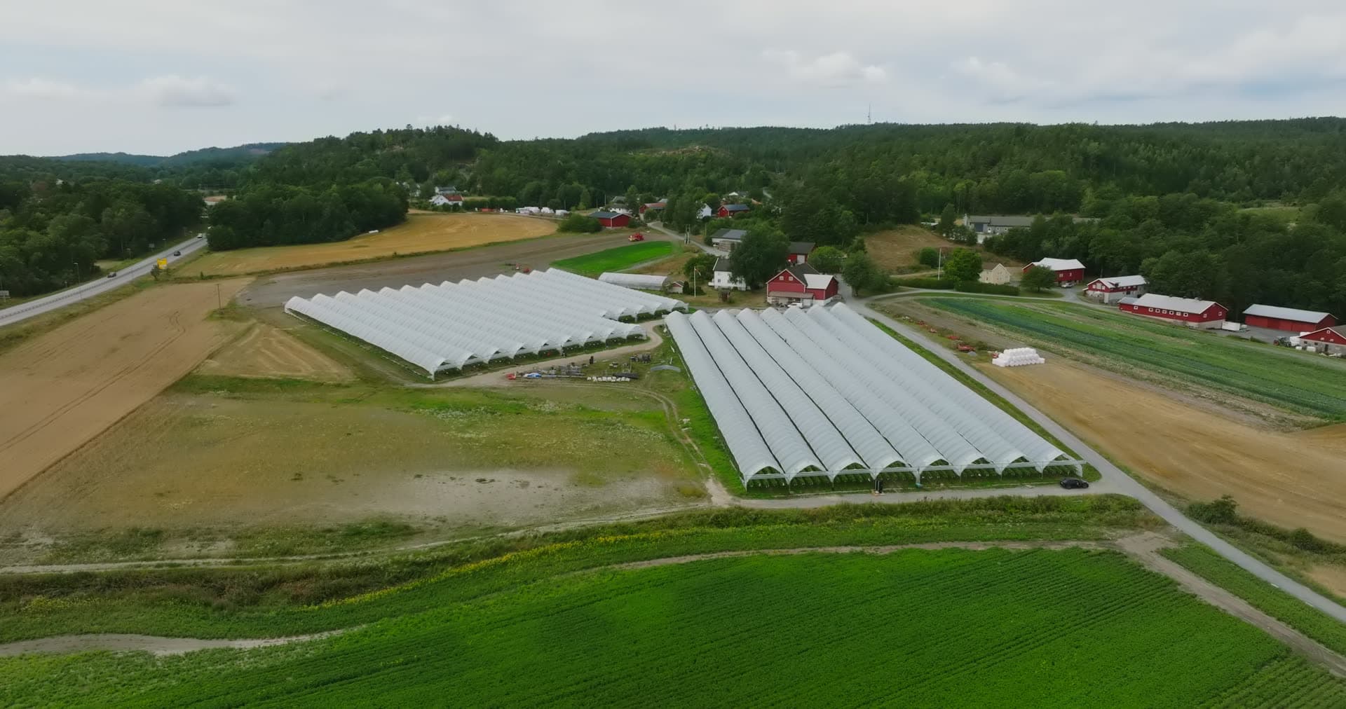 Polytunnel greenhouses beside red farm barns, Fevik, Norway
