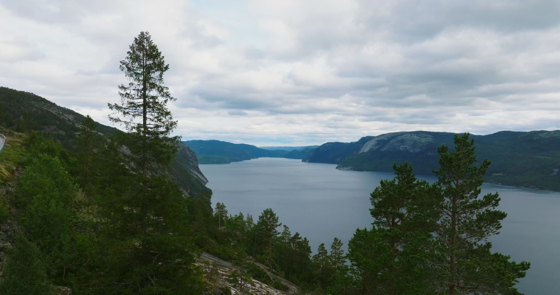 Pines on rocky ledge above narrow lake, Fyresdal, Norway