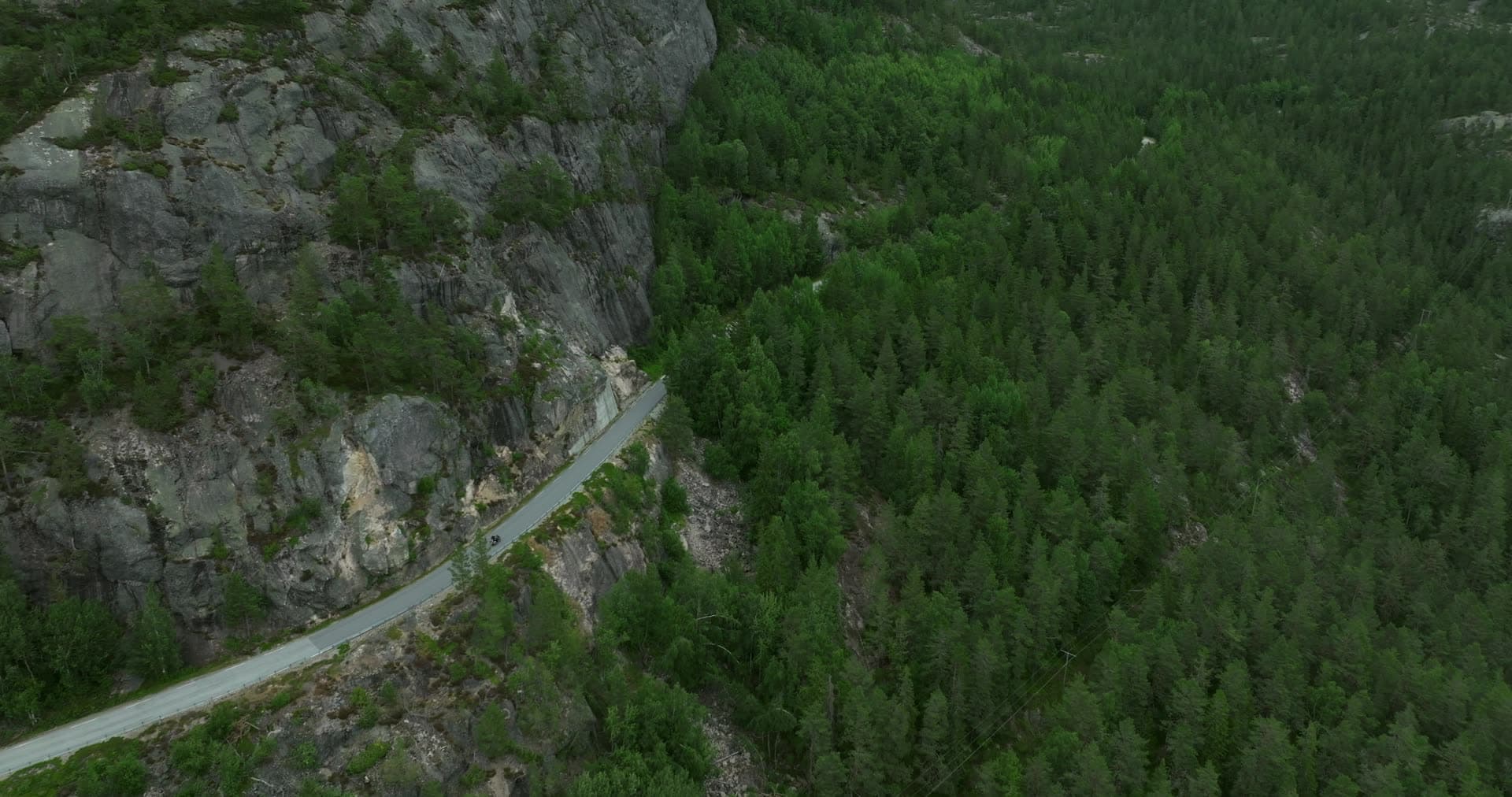 Motorcycle on road cut into cliff above spruce forest, Fyresdal, Norway
