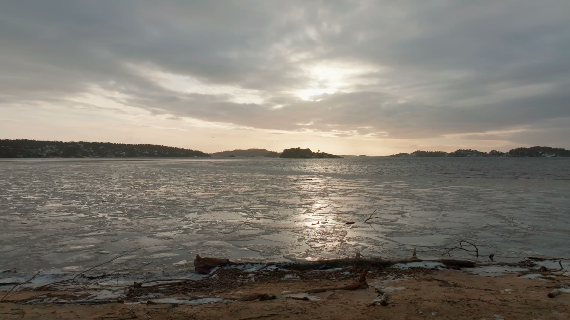 Driftwood on sand beside drifting sea ice, Høllen, Norway