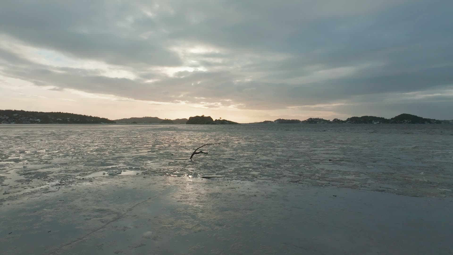 Branch stuck in broken sea ice at sunset, Høllen, Norway