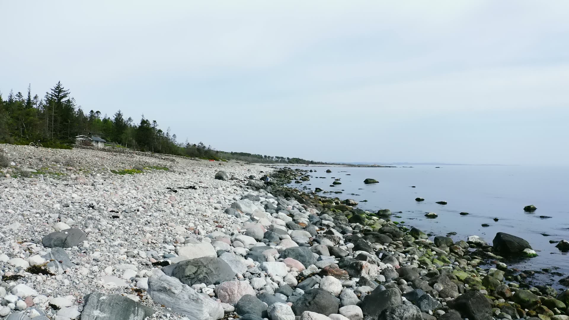 Boulder beach and cabin at the pine treeline, Jomfruland, Norway