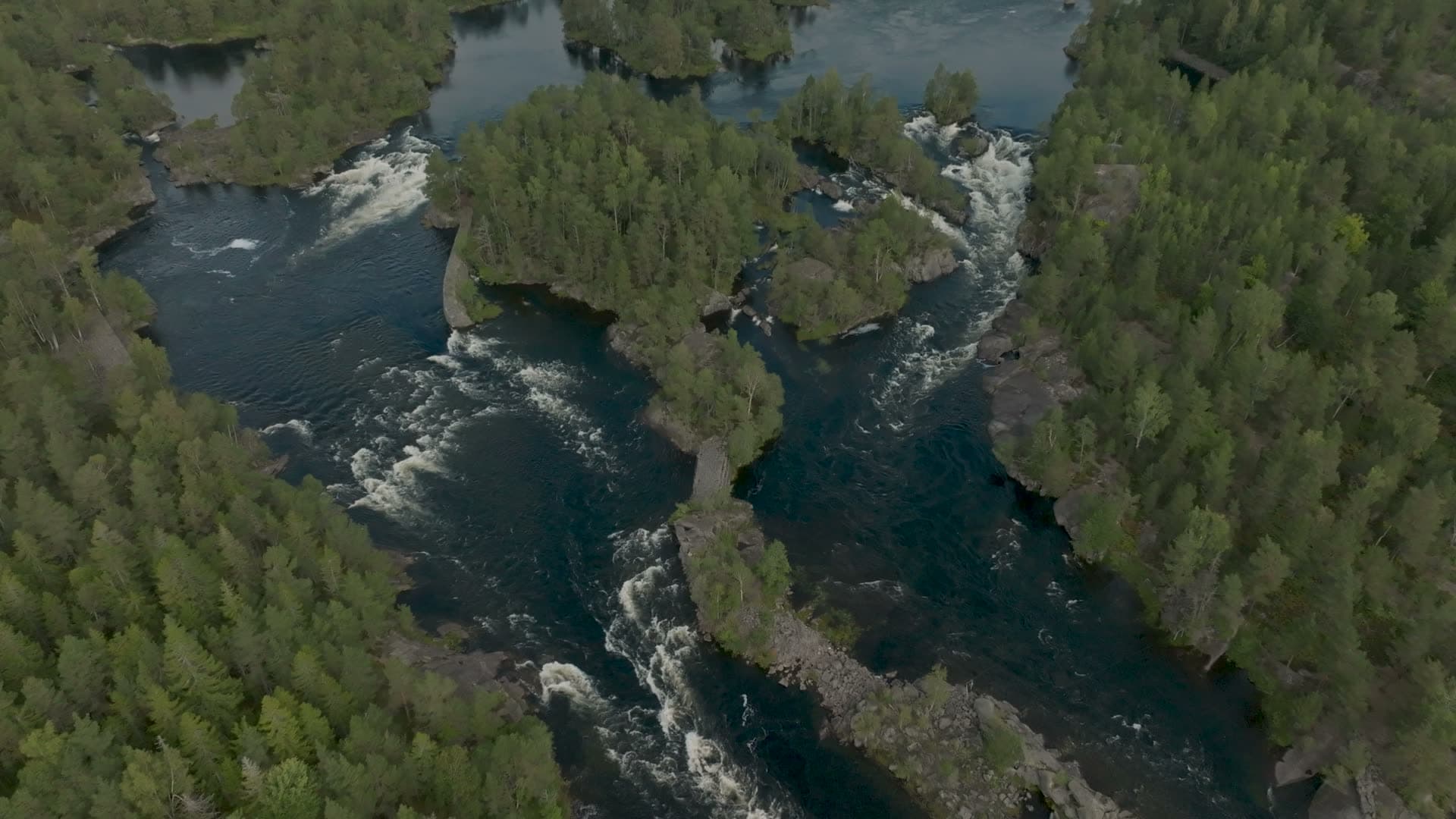 River rapids splitting around pine islets, Kilandsfoss, Norway
