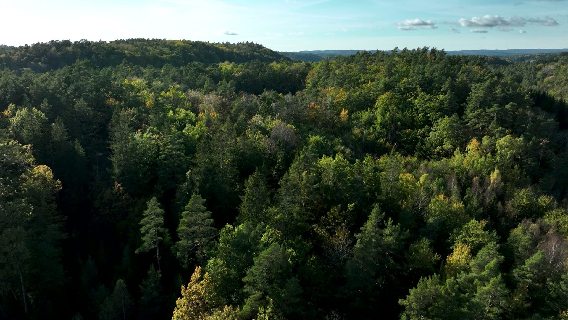 Low pass over mixed forest ridge, Kjærrane, Norway