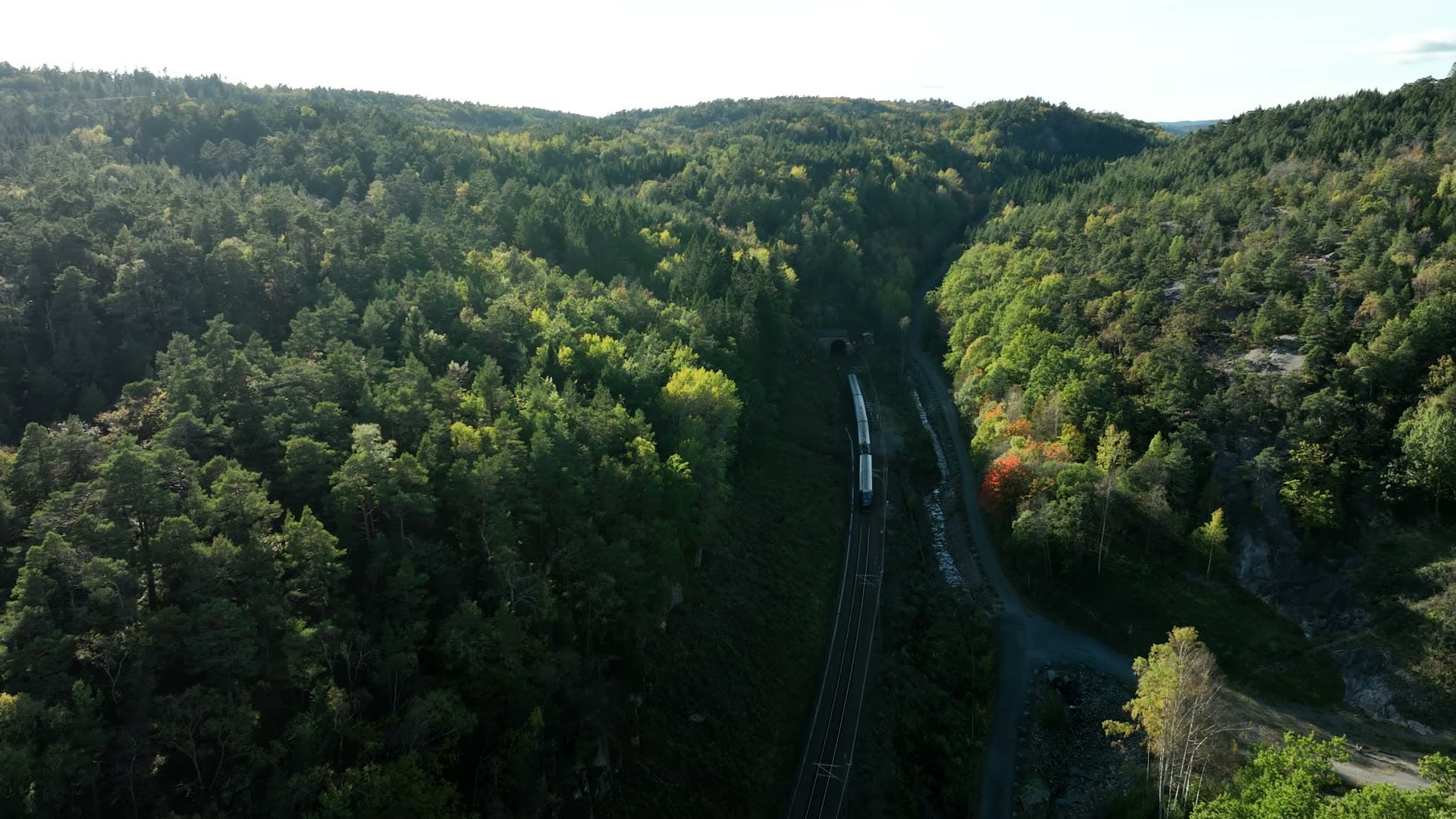 Train entering tunnel in forested valley, Kjærrane, Norway