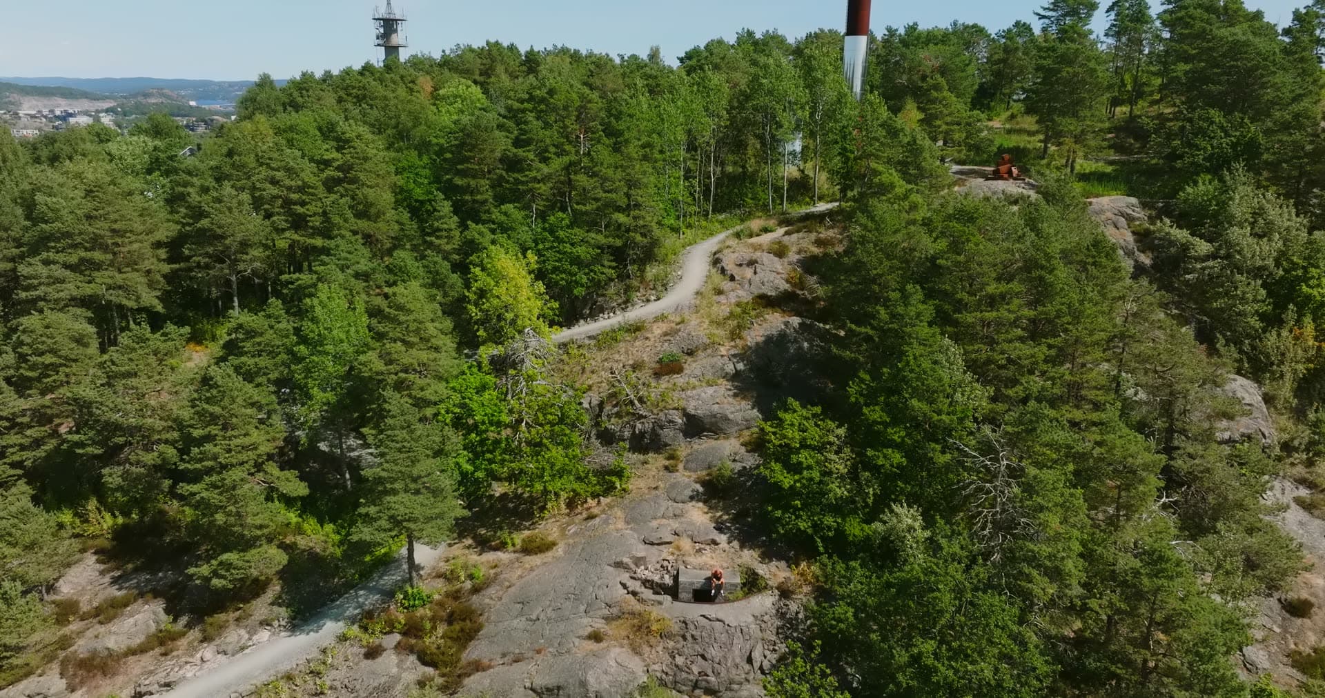 Footpath along the pine ridge below the masts, Kristiansand, Norway