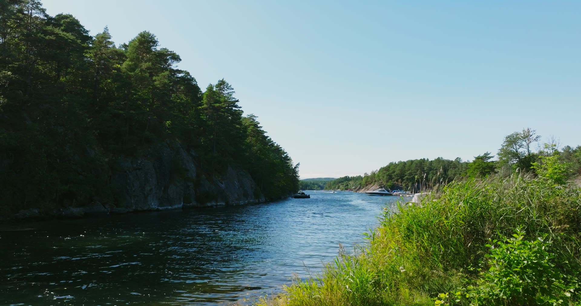 Reeds and a wooded cliff at the water's edge, Lillesand, Norway