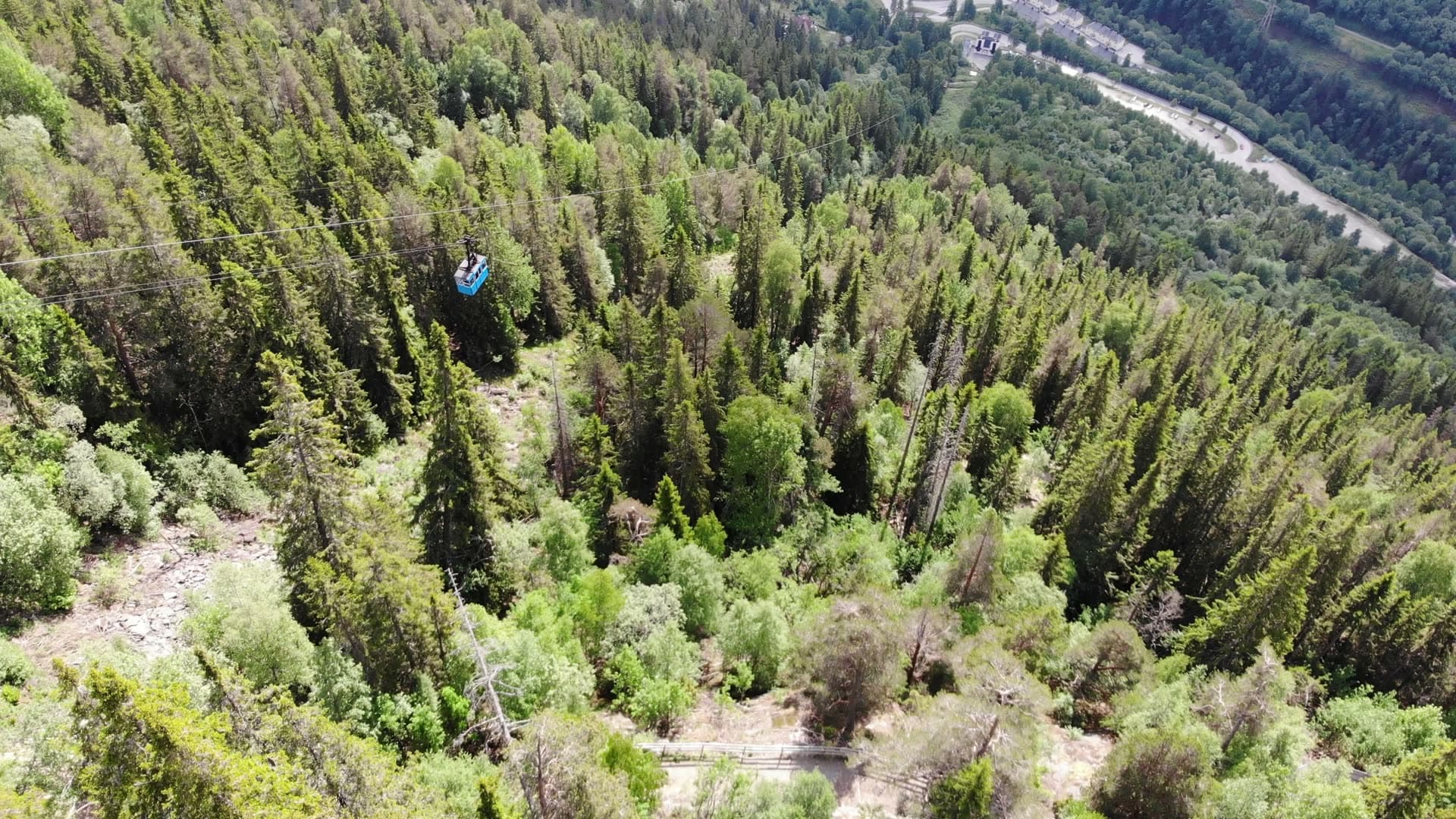 Blue cable car gondola over spruce forest, Rjukan, Norway