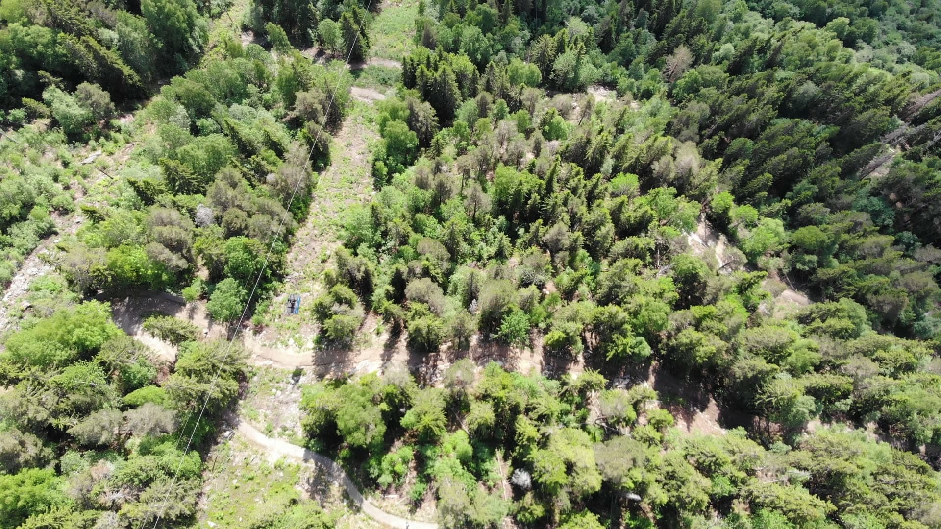 Power line clearing through dense forest, Rjukan, Norway