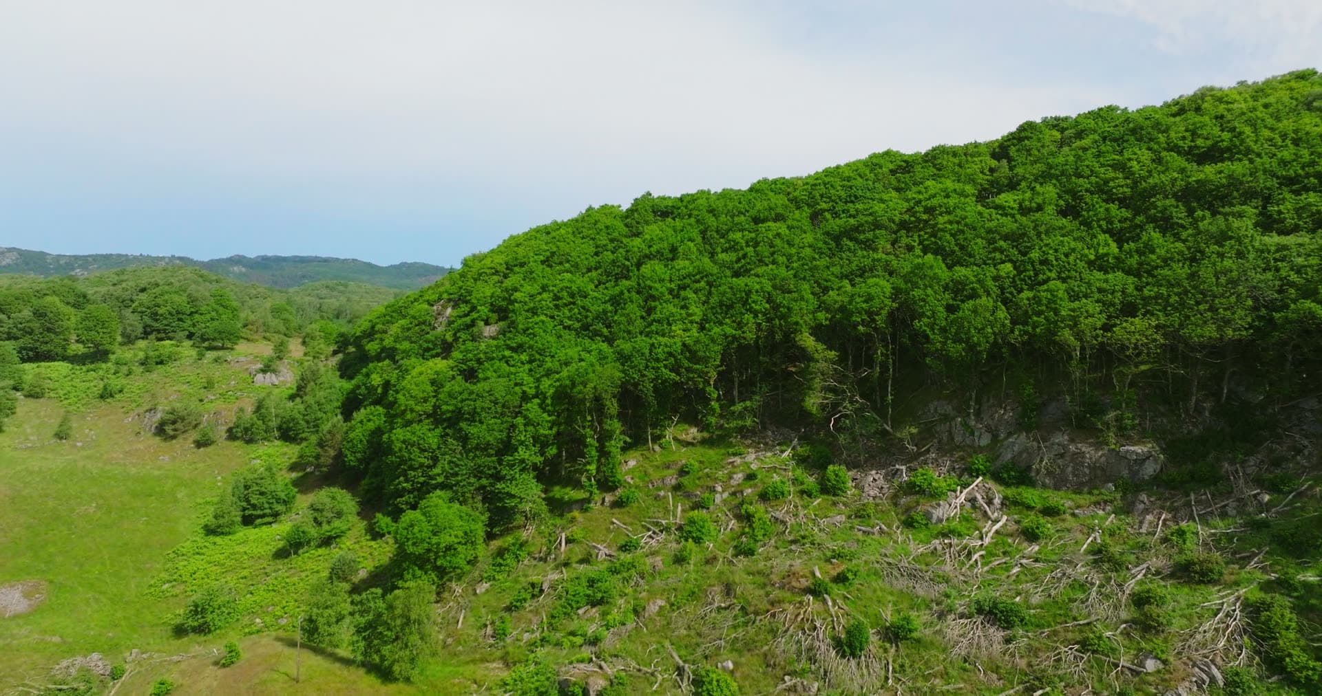 Clear-cut hillside above wooded farm valley, Vanse, Norway