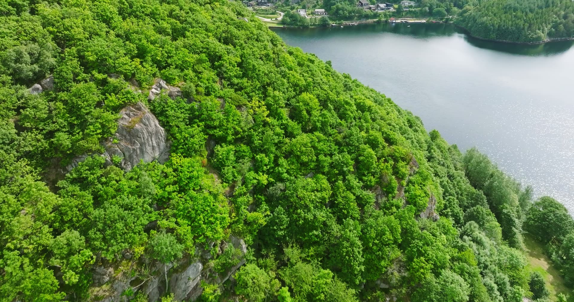 Clear-cut hillside above fjord houses, Vanse, Norway