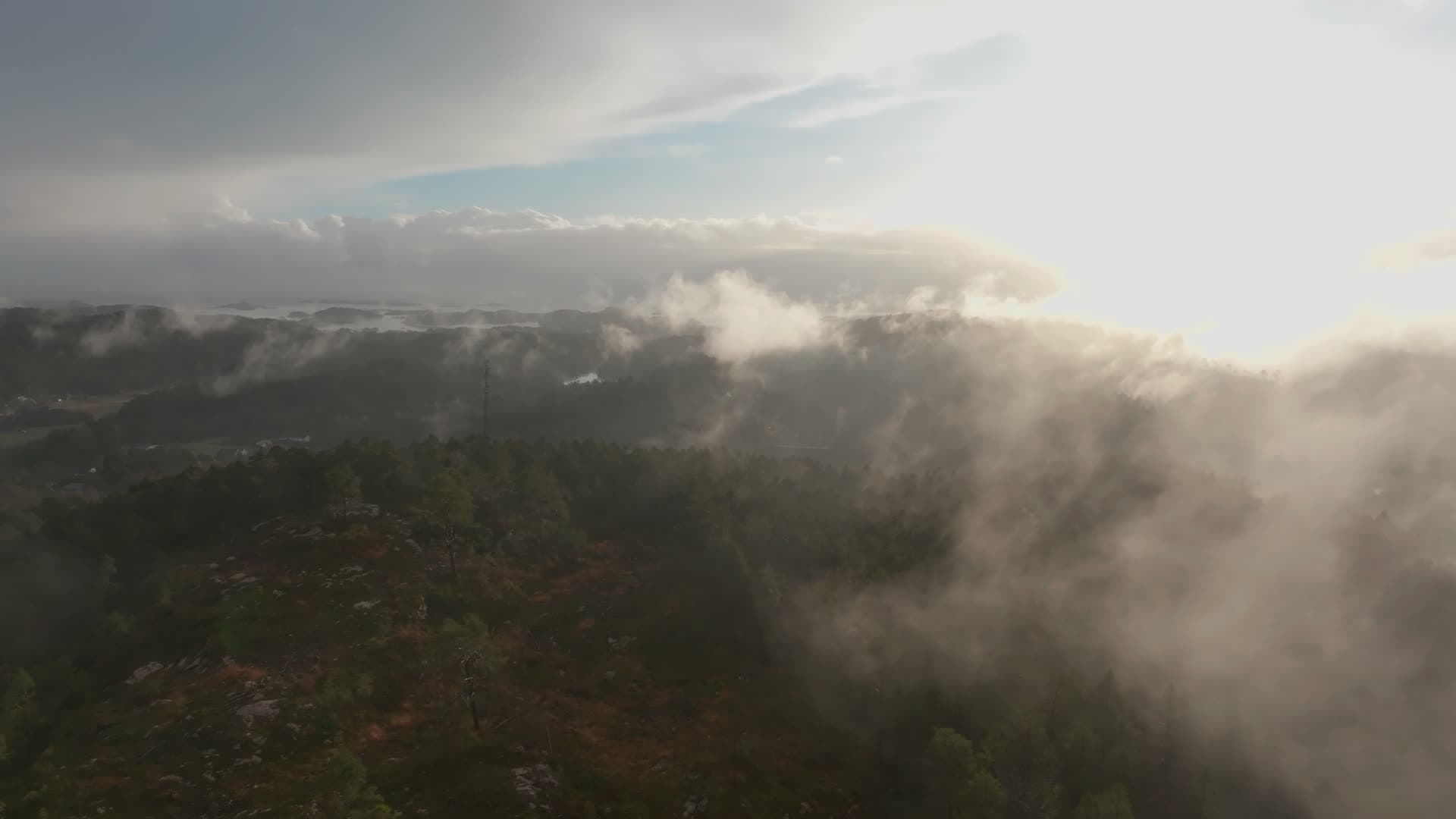 Low mist drifting over pine-covered ridge, Vedderheia, Norway
