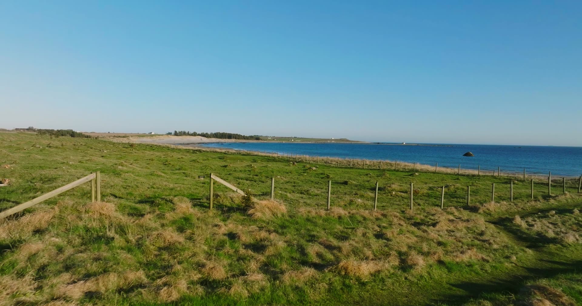 Wire fence across grazing field above beach, Vestbygd, Norway