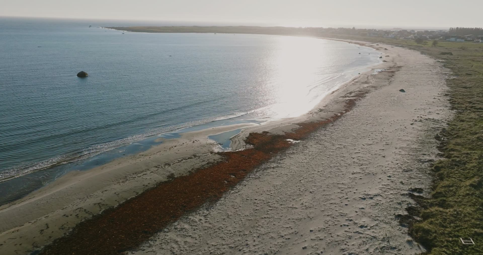 Sandy beach with seaweed line into sun glare, Vestbygd, Norway