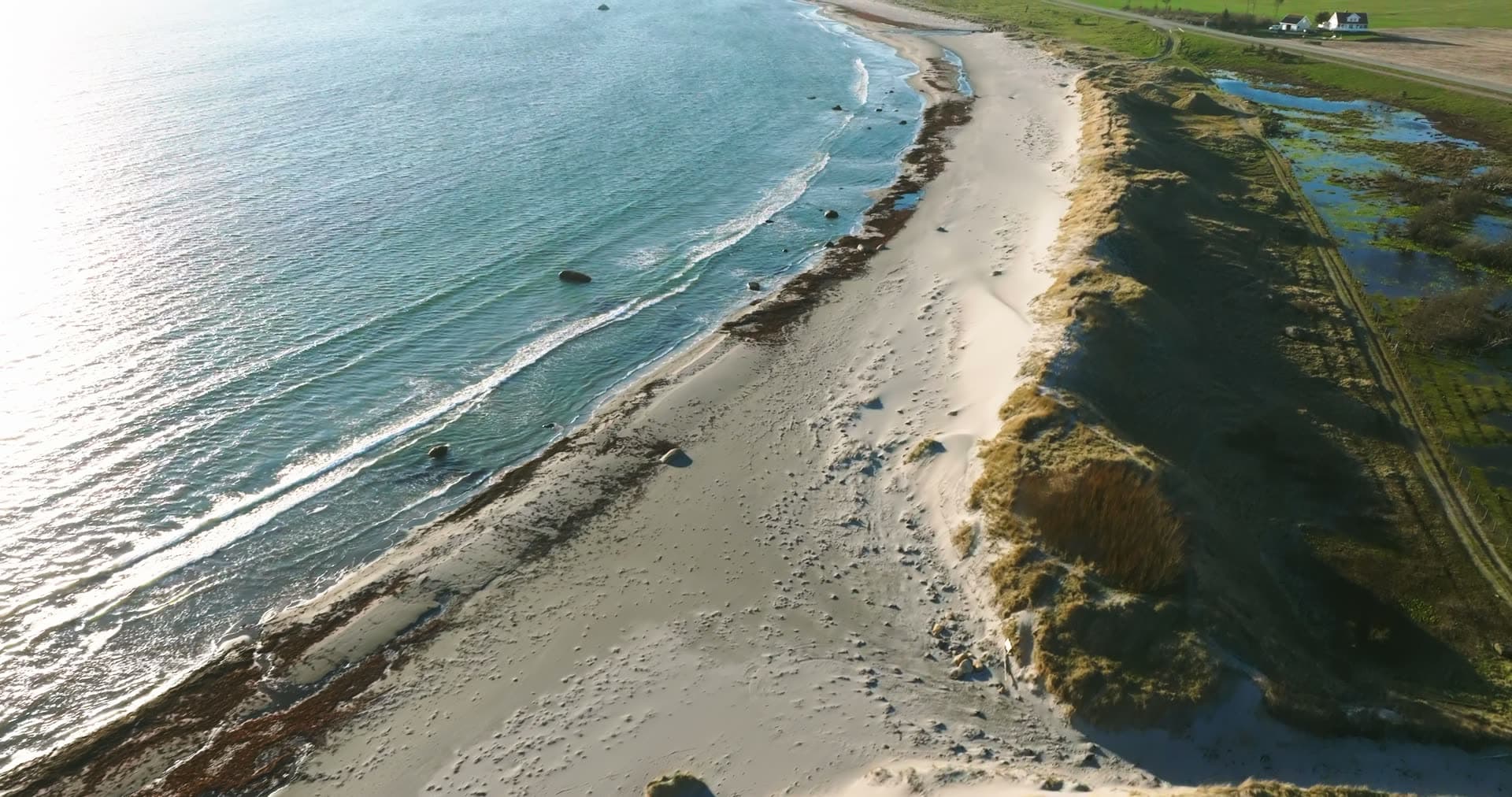 Sandy beach with dune grass and flooded fields, Vestbygd, Norway