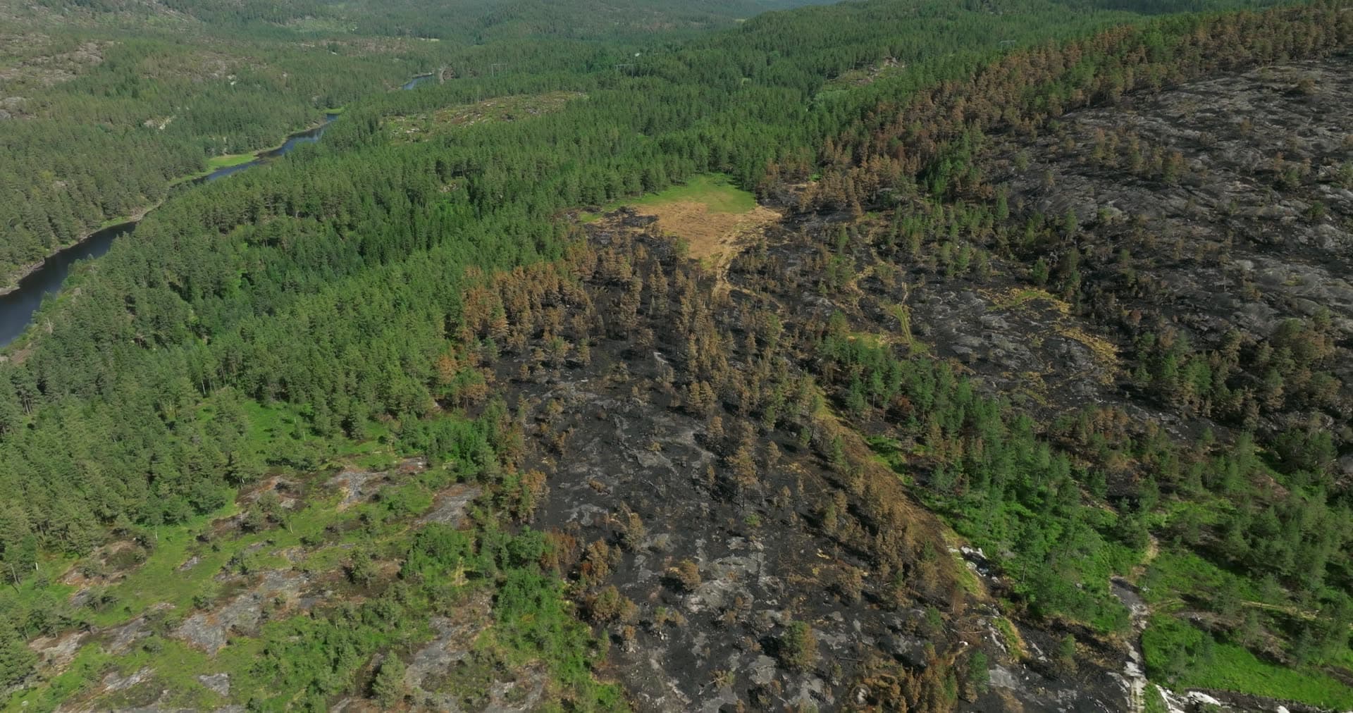Wildfire-burnt hillside above forest river, Vestøl, Norway