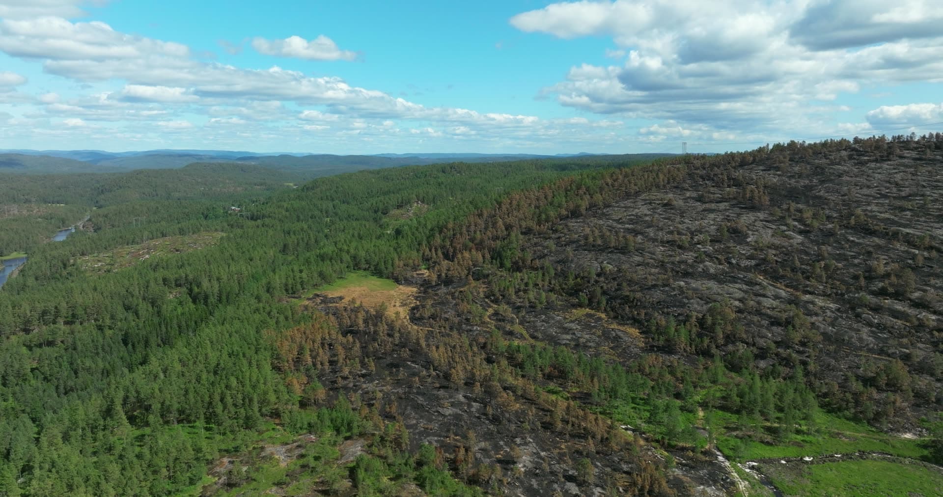 Wildfire-burned hillside beside green pine forest, Vestøl, Norway