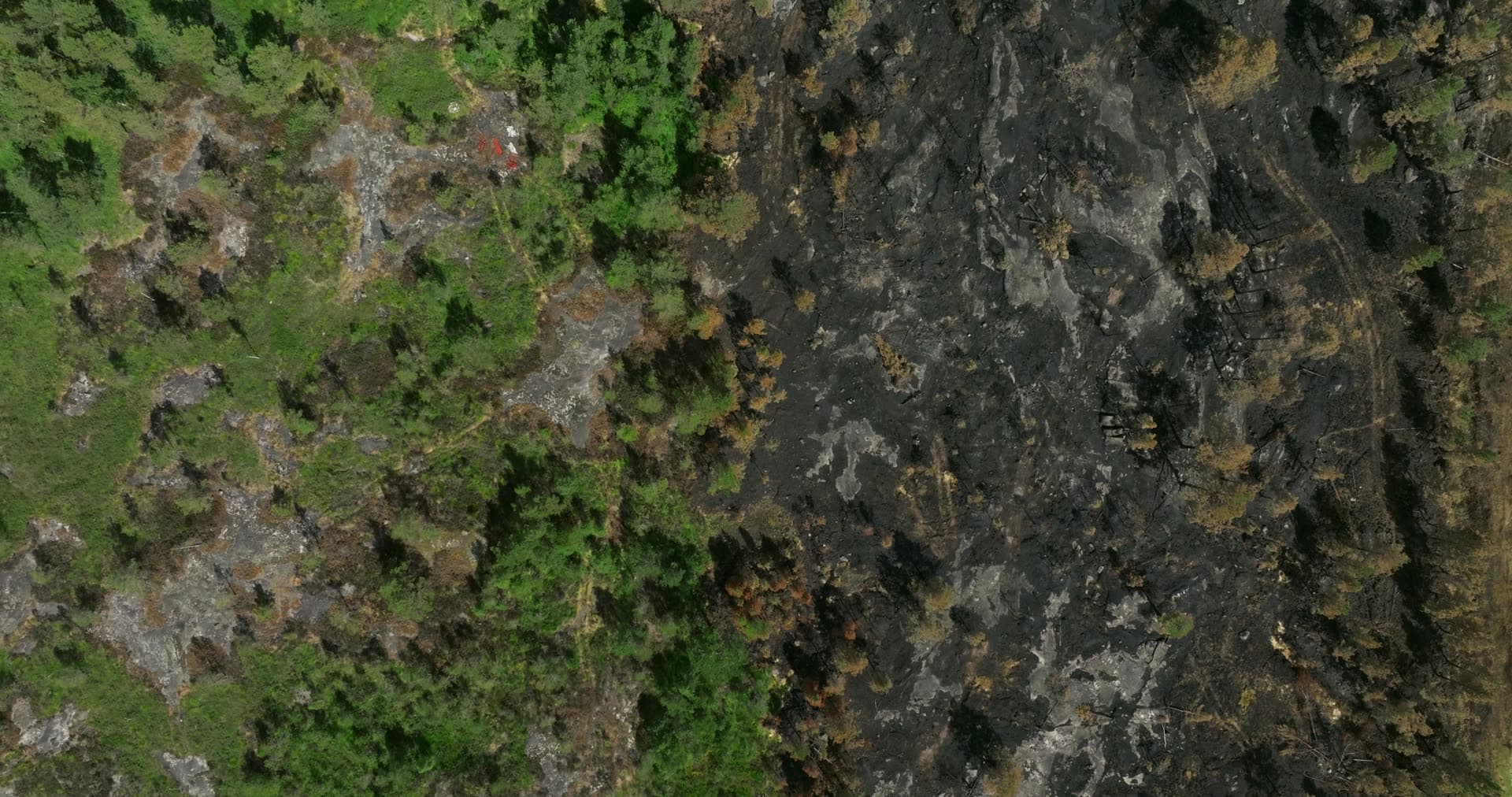 Wildfire burn line between green and charred forest, Vestøl, Norway